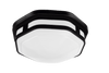 ETi Solid State Lighting Outdoor Color Preference® Hexagon Flushmount (Black) (Black)