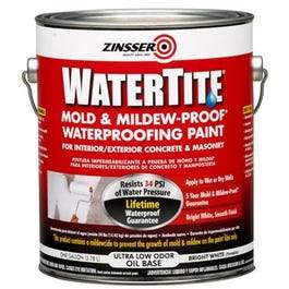 Mold & Mildew Proof Waterproofing Paint For Basements & Masonry, Gallon