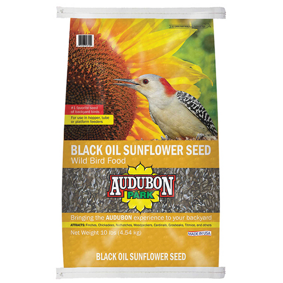 Audubon Park Black Oil Sunflower Seed Wild Bird Food (20 lbs)