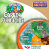 Bonide Liquid Copper Fungicide Ready-to-Spray (32 Oz)
