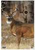 Birchwood Casey 35401 Pregame  Deer Hanging Paper Target 16.50 x 24 3 Per Pack