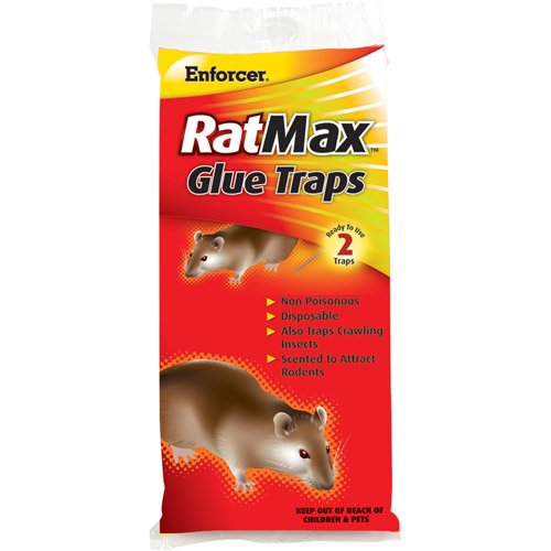 Enforcer RM-2 Rat/Mouse Glue Trap - 2 Pack (2 Pack)