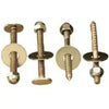 Plumb Pak Toilet Bolt & Screw Sets, Chrome Plated 1/4 x 2-1/2 (1/4 x 2-1/2)