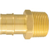 Conbraco 1 In. x 1 In. Brass Insert Fitting MIP Adapter Type A