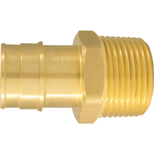 Conbraco 1 In. x 1 In. Brass Insert Fitting MIP Adapter Type A