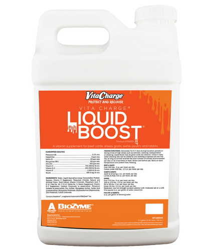 Biozyme Vita Charge Liquid Boost (32 oz)