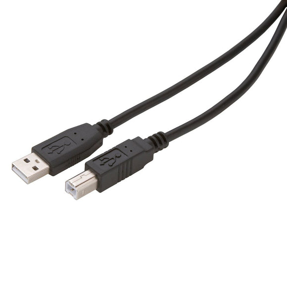 Zenith Type A USB Cable PU1010ABB (10 ft)