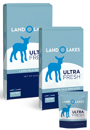 LAND O LAKES® Ultra Fresh® Lamb Milk Replacer (8 lbs)