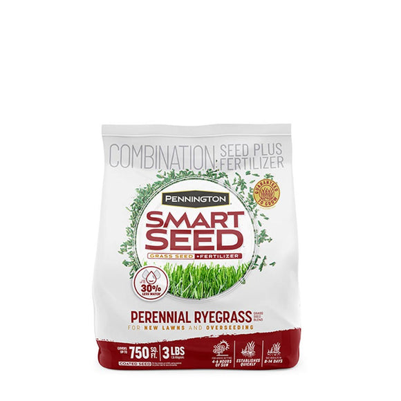 Pennington Smart Seed Perennial Ryegrass Grass Seed and Fertilizer Blend 3 lbs. (3 lbs)