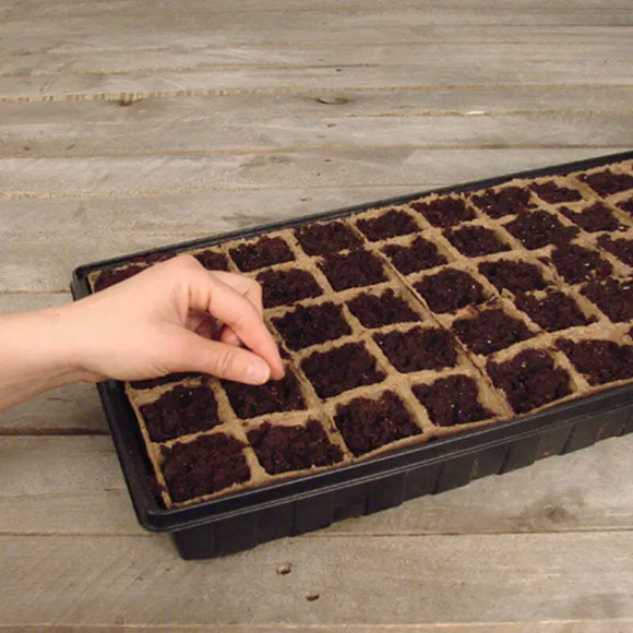 Ferry-Morse Jiffy Seed Starting Greenhouse Kit with 50 Biodegradable Peat Strip Cells (50 Cell)