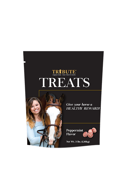 Tribute® Peppermint Horse Treats (3 lbs)
