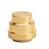 Probite 1/2” End Stop Brass (1/2”)