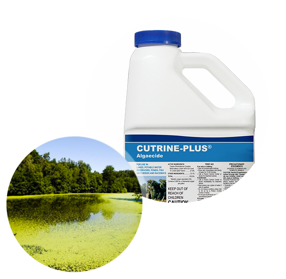 Applied Biochemists Cutrine® Plus Algaecide and Herbicide 2.5 Gallon (2.5 Gallon)