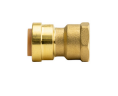 Quick Fitting 1” x 1” FNPT Straight Female Adapter Brass (1” x 1”)