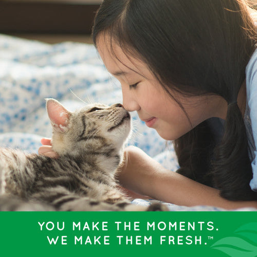 TropiClean Fresh Breath Dental Health Solution for Cats (16-oz)
