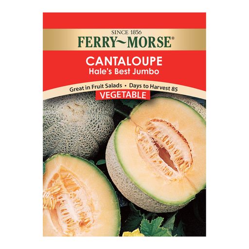 Ferry-Morse Cantaloupe Seeds, Hale's Best Jumbo (1 Count)