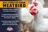 22% Start-To-Finish Meatbird Feed (10 Lb.)