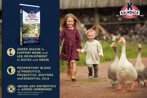 Kalmbach Duck, Goose & Swan Feed (10 Lb.)