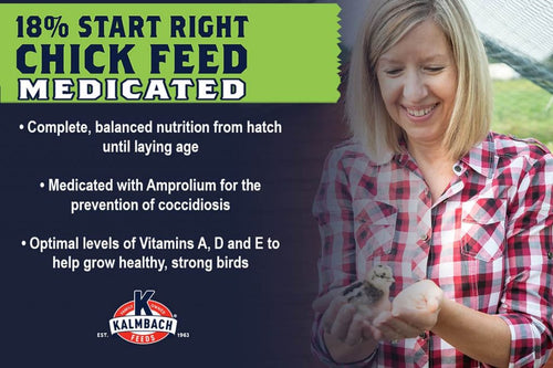 Kalmbach 18% Start Right® Chick Feed (Medicated) (10 Lb.)