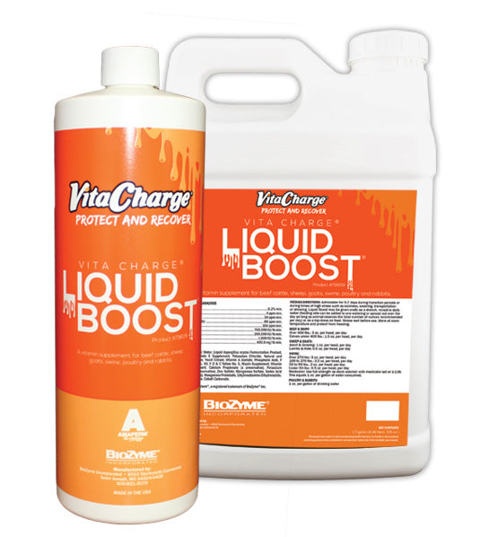 Biozyme Vita Charge Liquid Boost (32 oz)