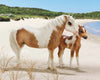 Breyer Traditional Series Misty & Stormy - Models and Book Set (Traditional | 1:9 scale | Ages 8+)
