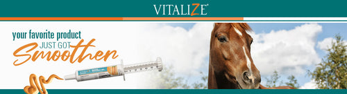 BioZyme Vitalize Equine Recovery Gel