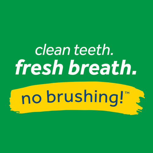 TropiClean Fresh Breath No Brushing Clean Teeth Dental & Oral Care Gel for Dogs (4 oz)