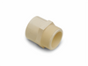 Genova Products 1/2 in. CPVC Male Pipe Thread Adapter - (1/2)