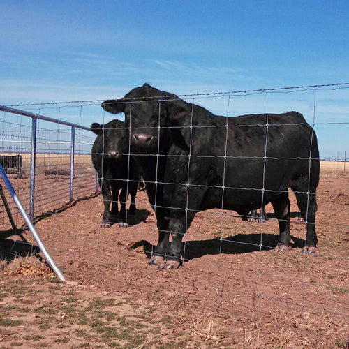 Stay Tuff Cattle-Tuff Fence (49