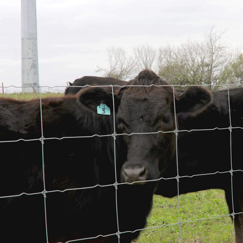 Stay Tuff Cattle-Tuff Fence (49 X 330')