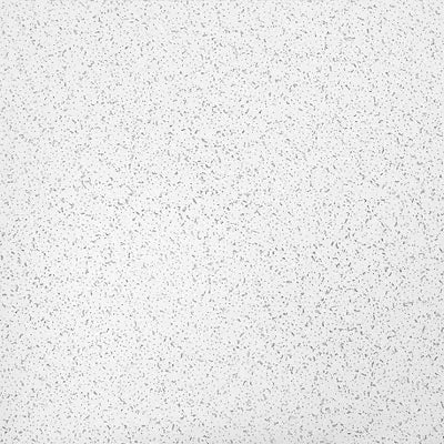 Armstrong Ceilings Random Textured 24-in x 24-in Light Commercial Panels (24