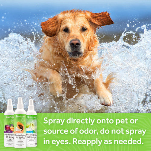 TropiClean Pure Plum Deodorizing Spray for Pets (8 oz)