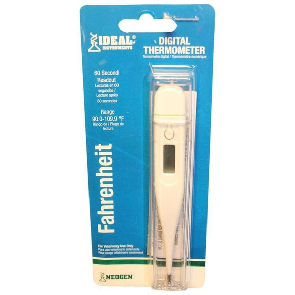 DIGITAL THERMOMETER WITH HARD PLASTIC CASE (5 IN)
