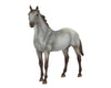 Breyer Wild Blue Book and Model Action Figure Set (Freedom Series | 1:12 Scale | Ages 4+ Horse | Age 8+ Book)